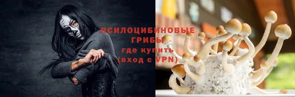 гидра Абинск