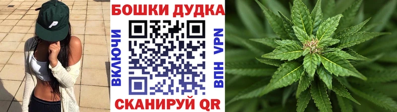 как найти наркотики  Чегем  Шишки марихуана гибрид 